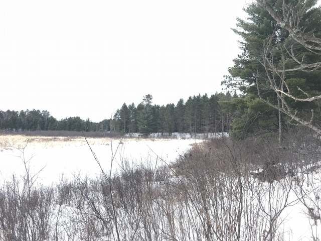160-ac Scotchman Lake Road Minocqua, WI 54548 - Photo 21 of 30 Gallery Image 21