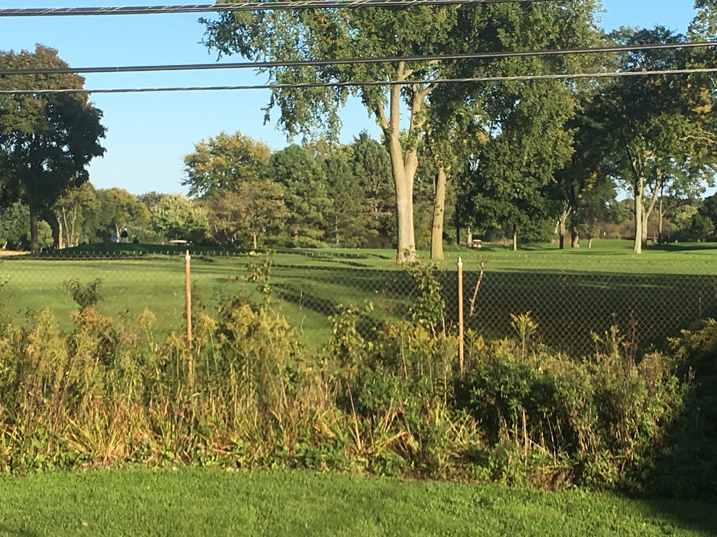 1159 Raleigh Road Glenview, IL 60025 - Photo 22 of 22