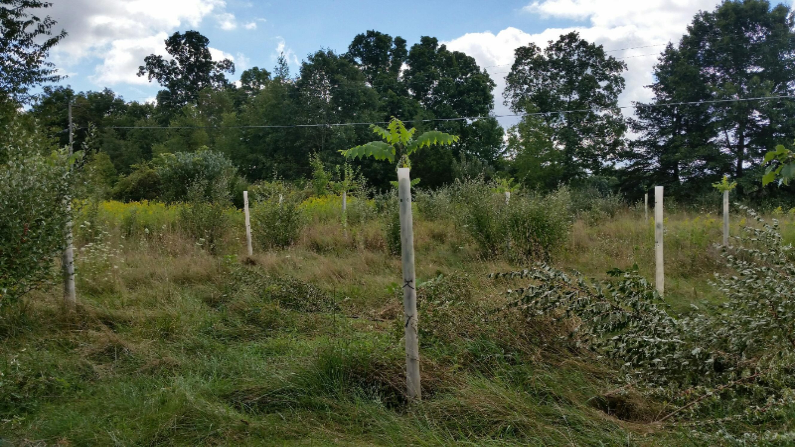 20190904_114209