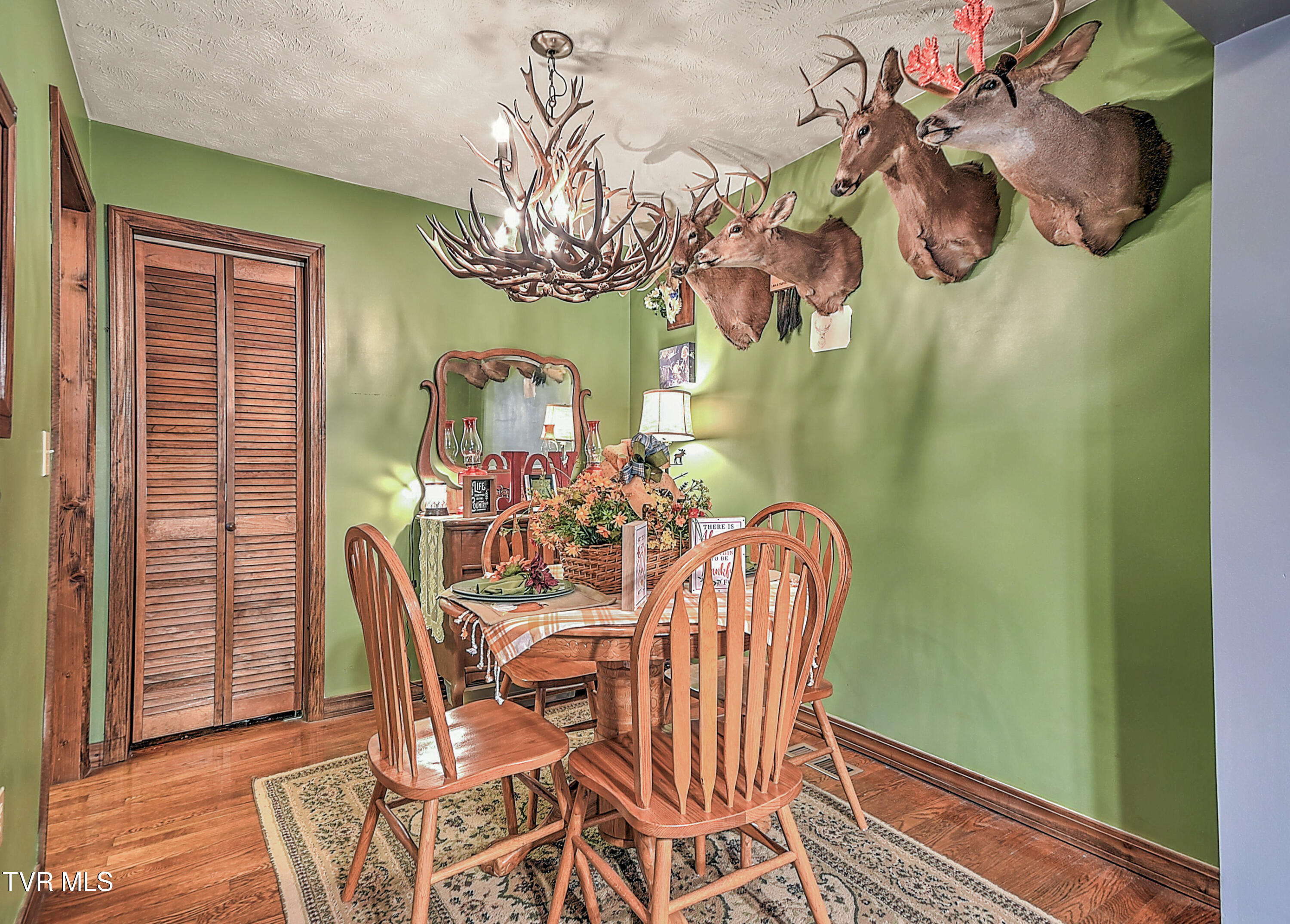 227 Old Beason Well Road Kingsport, TN 37660 - Photo 25 of 44 225 New Beason Well DP-13