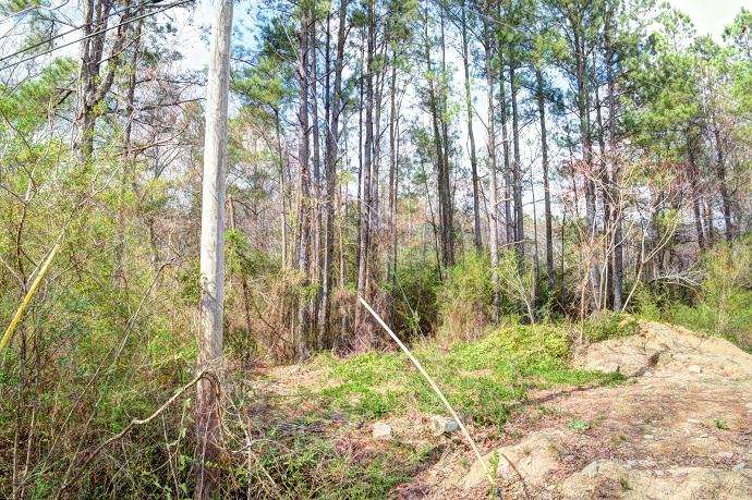 1711 Mayflower Road Soddy-Daisy, TN 37379 - Photo 3 of 8 1711 mayflower property