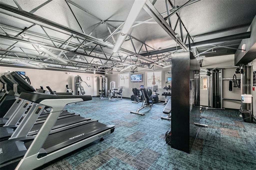 11902 Boynton Lane New Port Richey, FL 34654 - Photo 43 of 44 a view of a room with gym equipment