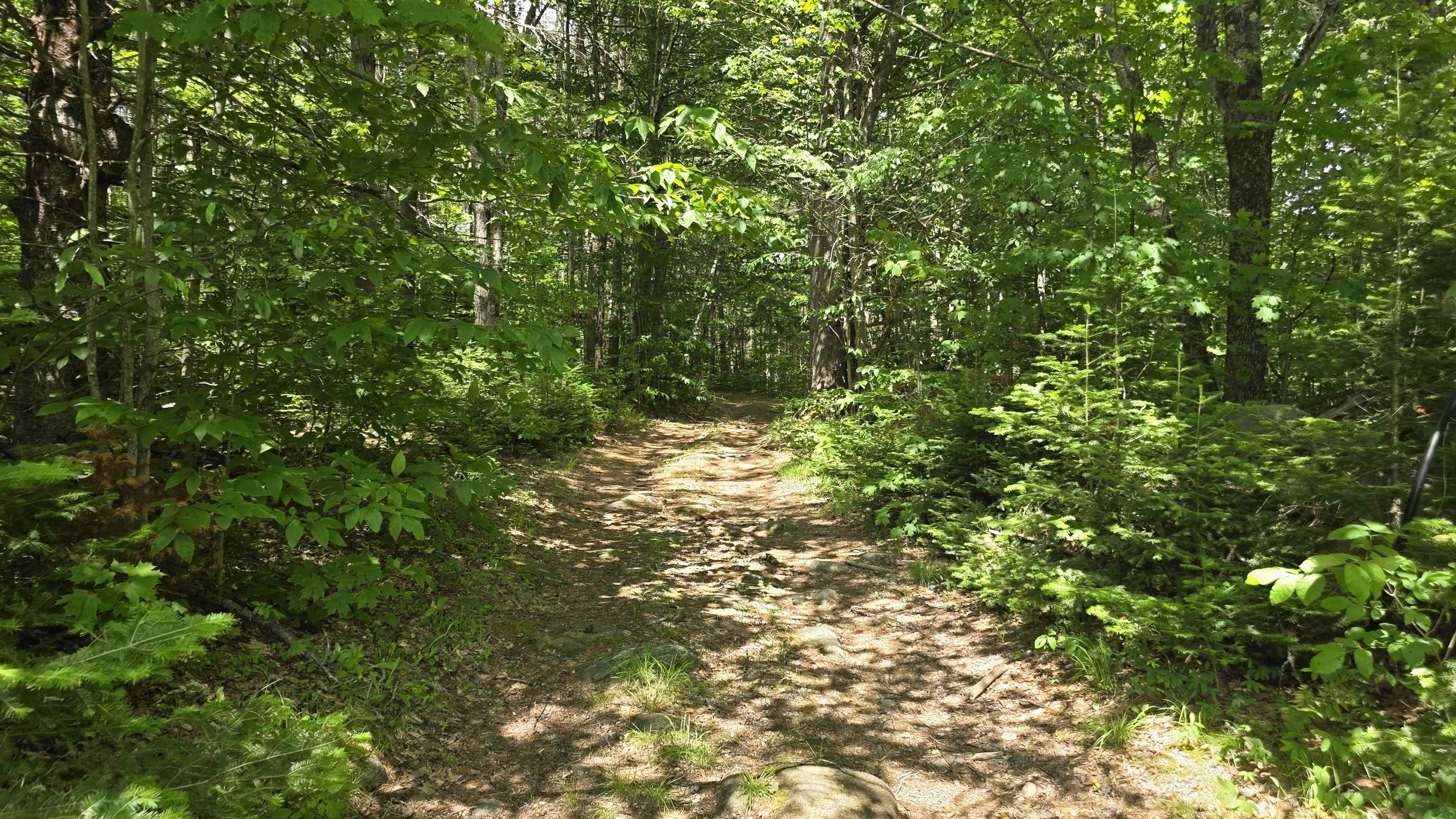 91 Venheim Road, Unit 1 Lunenburg, VT 05906 - Photo 38 of 55