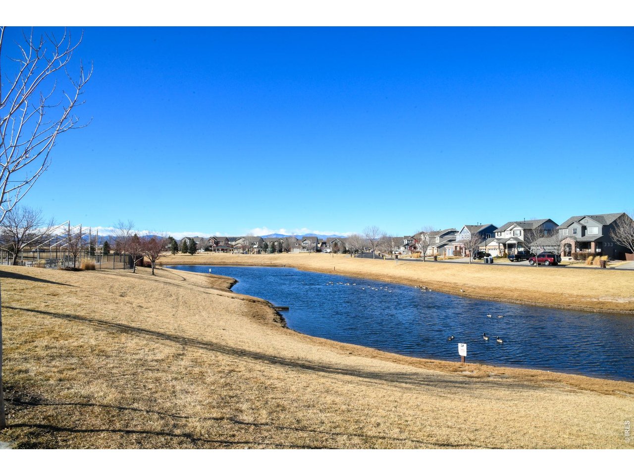 6770 Spring Rain Road Timnath, CO 80547 - Photo 47 of 47