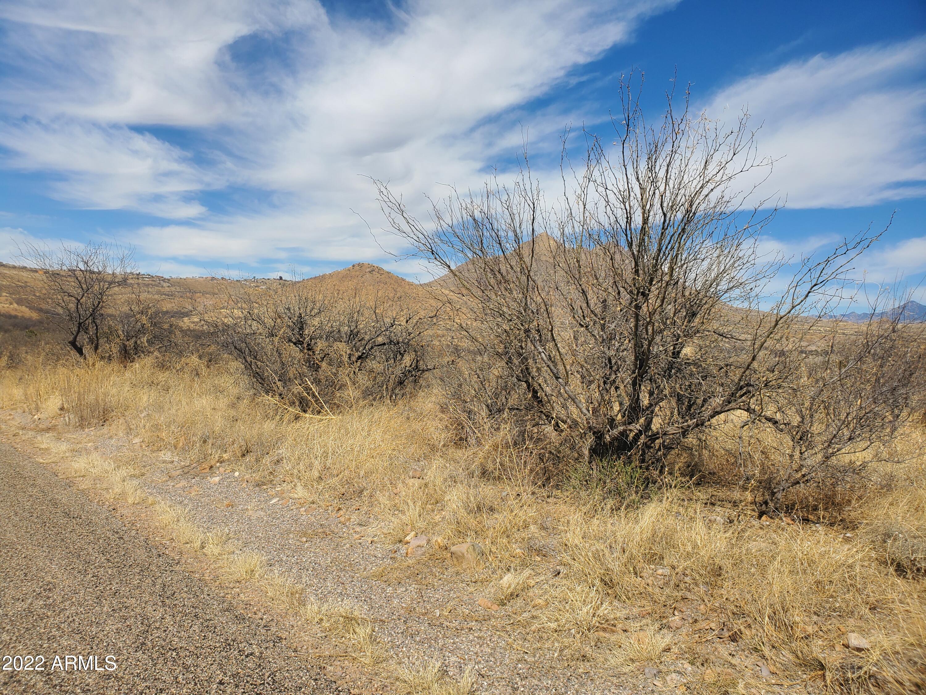 104 Circulo Penjamo, Unit 12 Rio Rico, AZ 85648 - Photo 4 of 8 20220220_124456