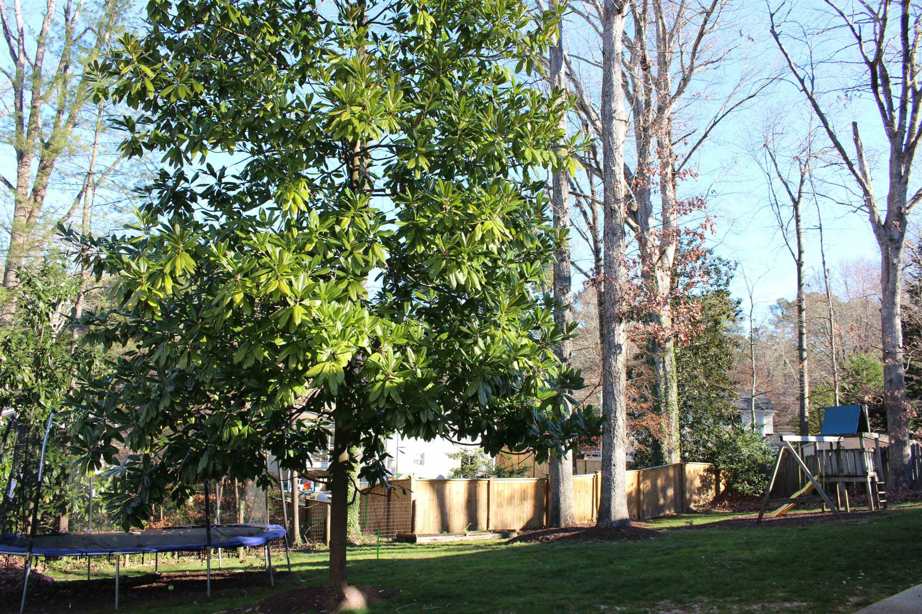 604 Davidson Street Raleigh, NC 27609 - Photo 26 of 28 Photo 26