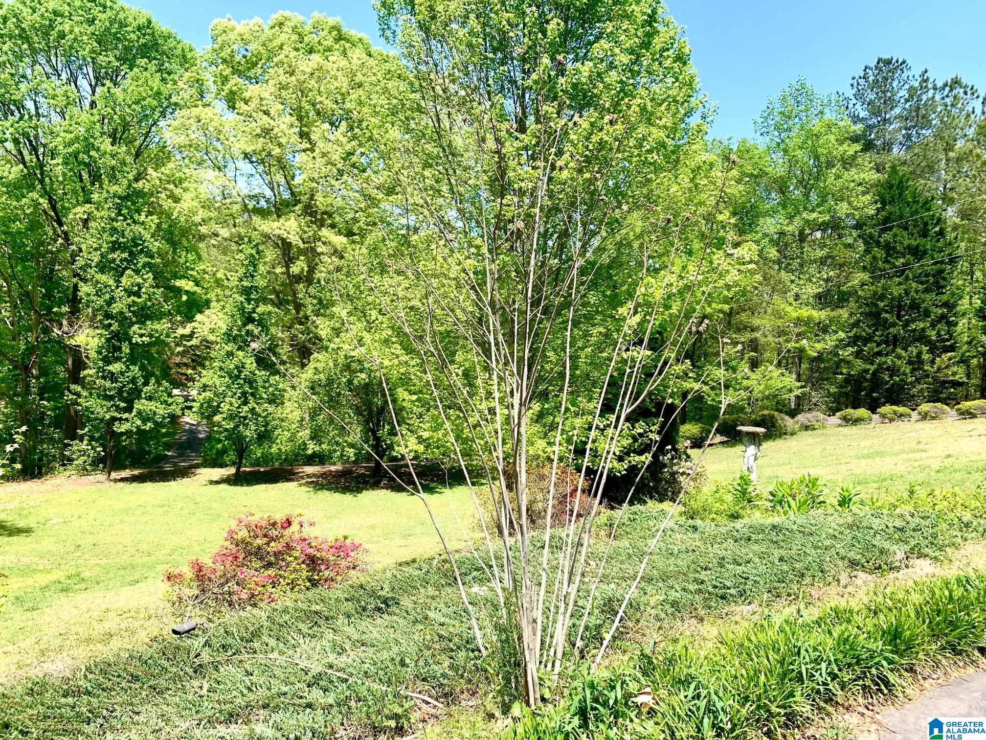 788 River Road Heflin, AL 36264 - Photo 13 of 47