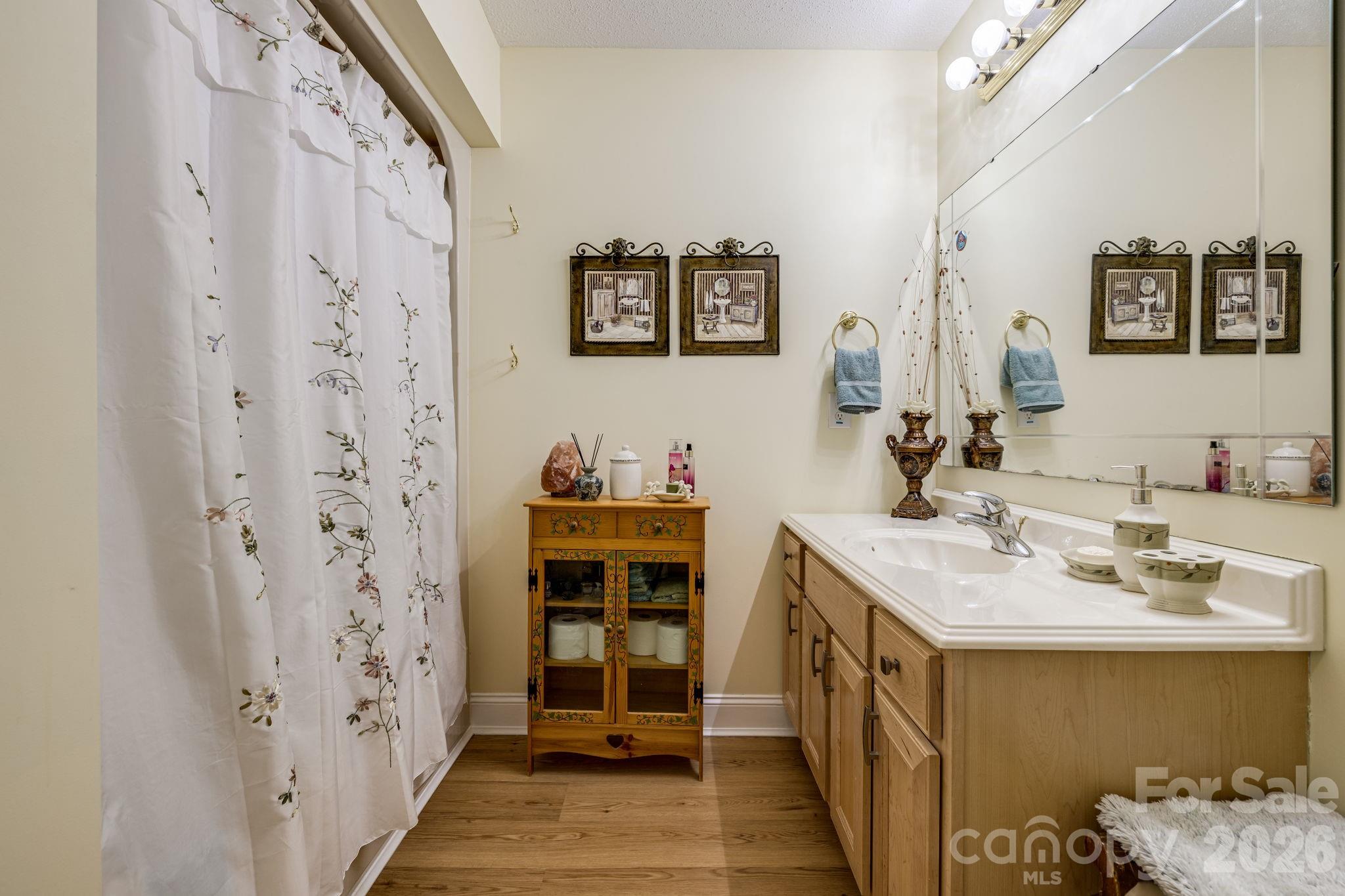 350 Old Sunset Hill Road Hendersonville, NC 28792 - Photo 20 of 40 a bathroom with a sink and a mirror