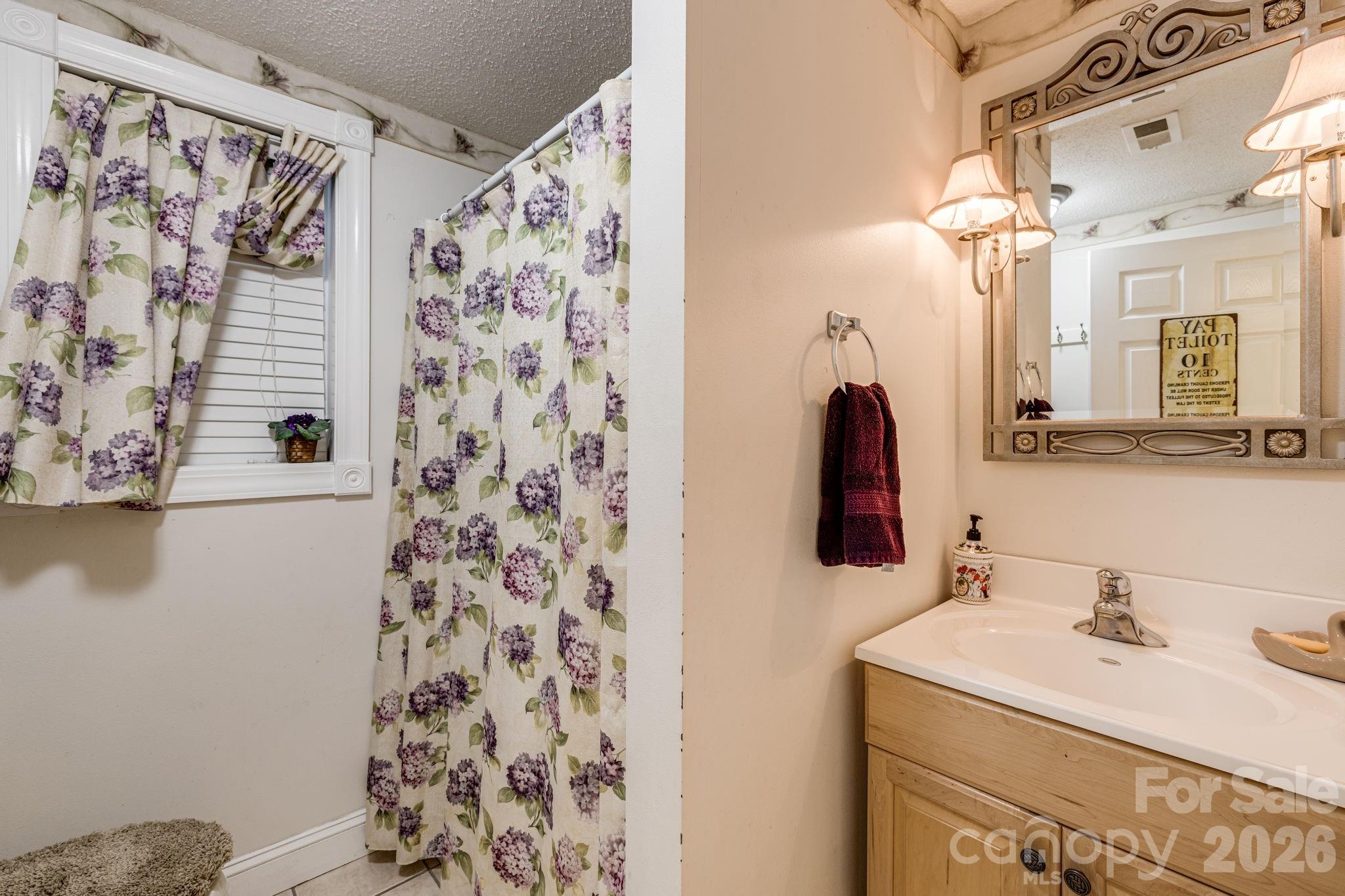 350 Old Sunset Hill Road Hendersonville, NC 28792 - Photo 25 of 40 a bathroom with a sink and a mirror