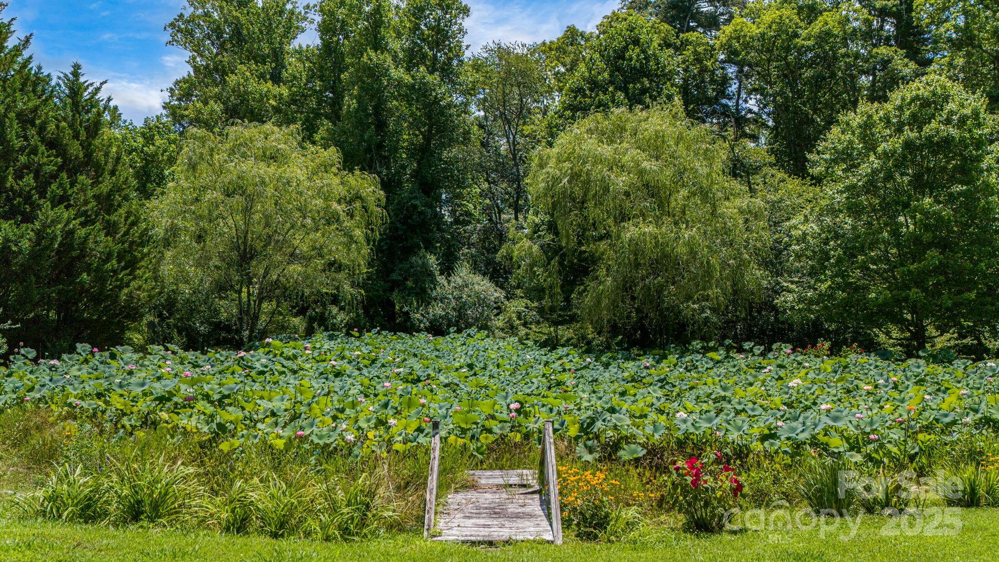 350 Old Sunset Hill Road Hendersonville, NC 28792 - Photo 37 of 40 a view of a garden with a pathway