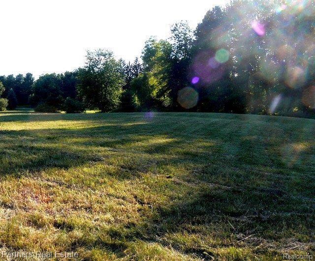 0 Coon Lake Howell, MI 48843 - Photo 9 of 12 Peaceful
