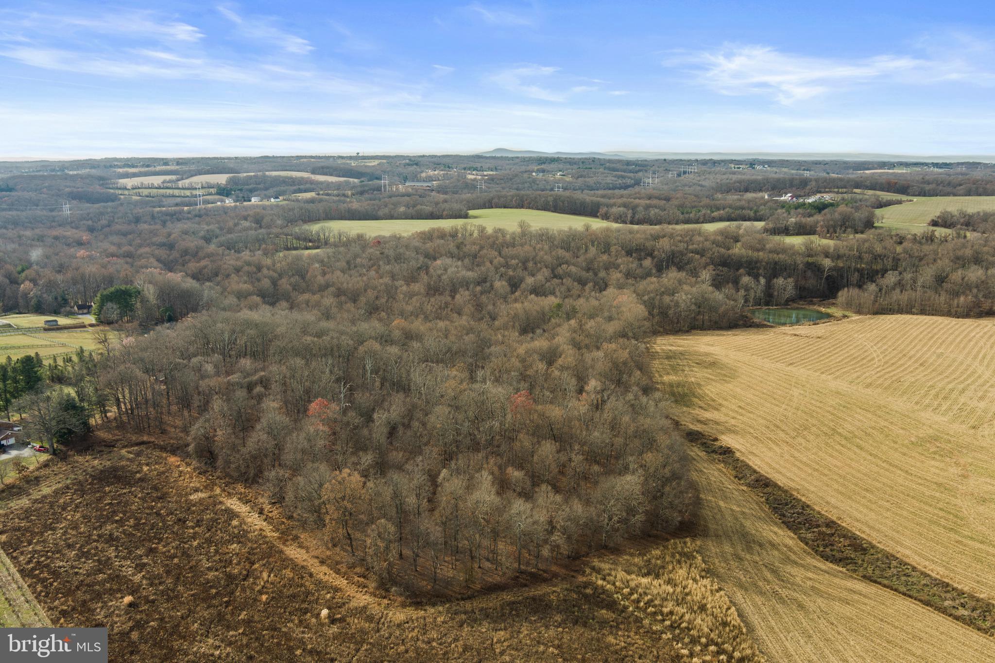 Mullinix Mill Rd Mount Mount Airy, MD 21771 - Photo 11 of 59