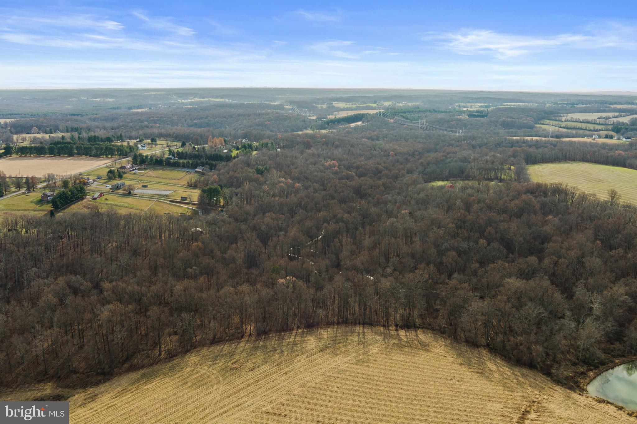 Mullinix Mill Rd Mount Mount Airy, MD 21771 - Photo 12 of 59