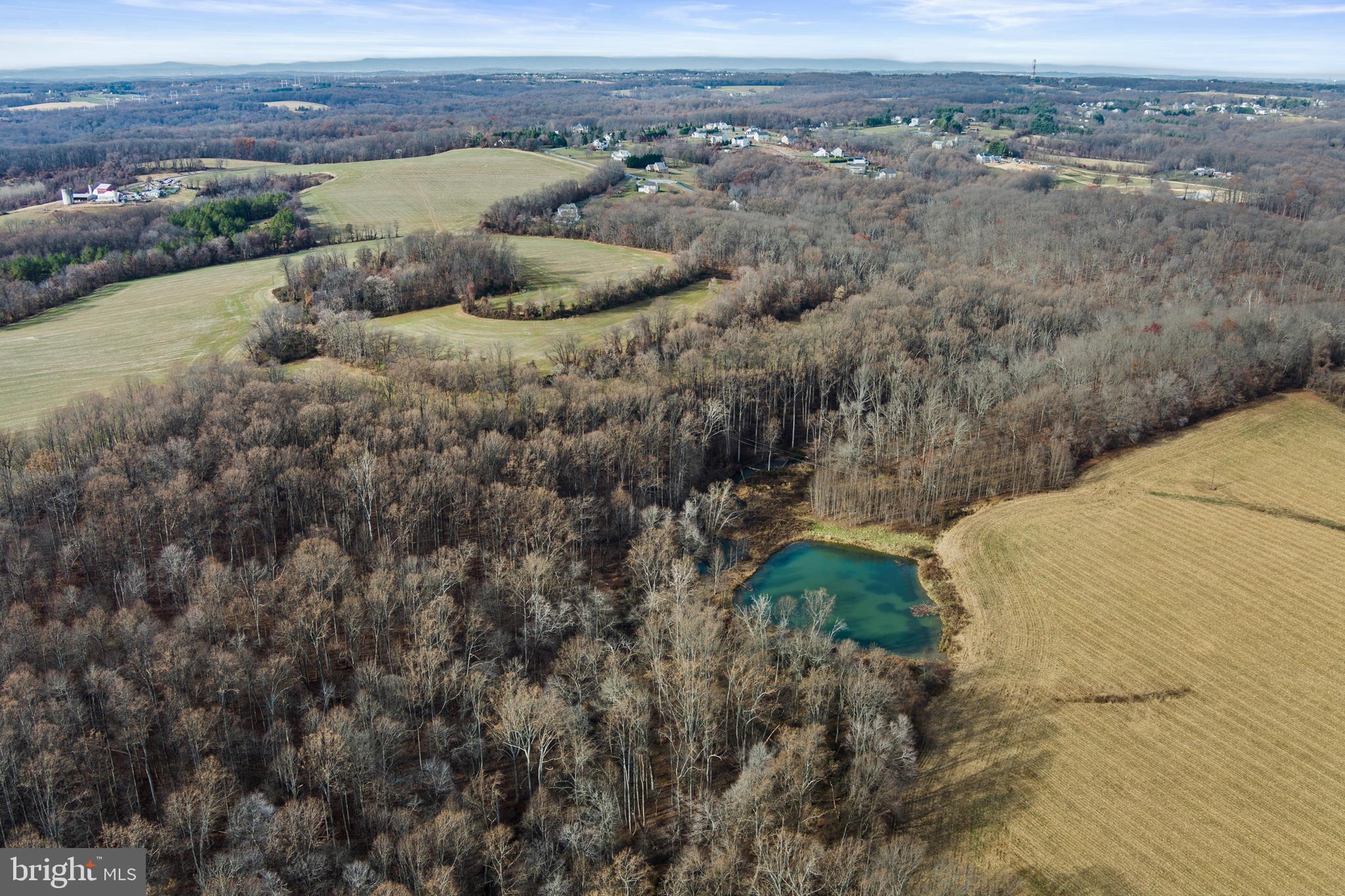 Mullinix Mill Rd Mount Mount Airy, MD 21771 - Photo 13 of 59