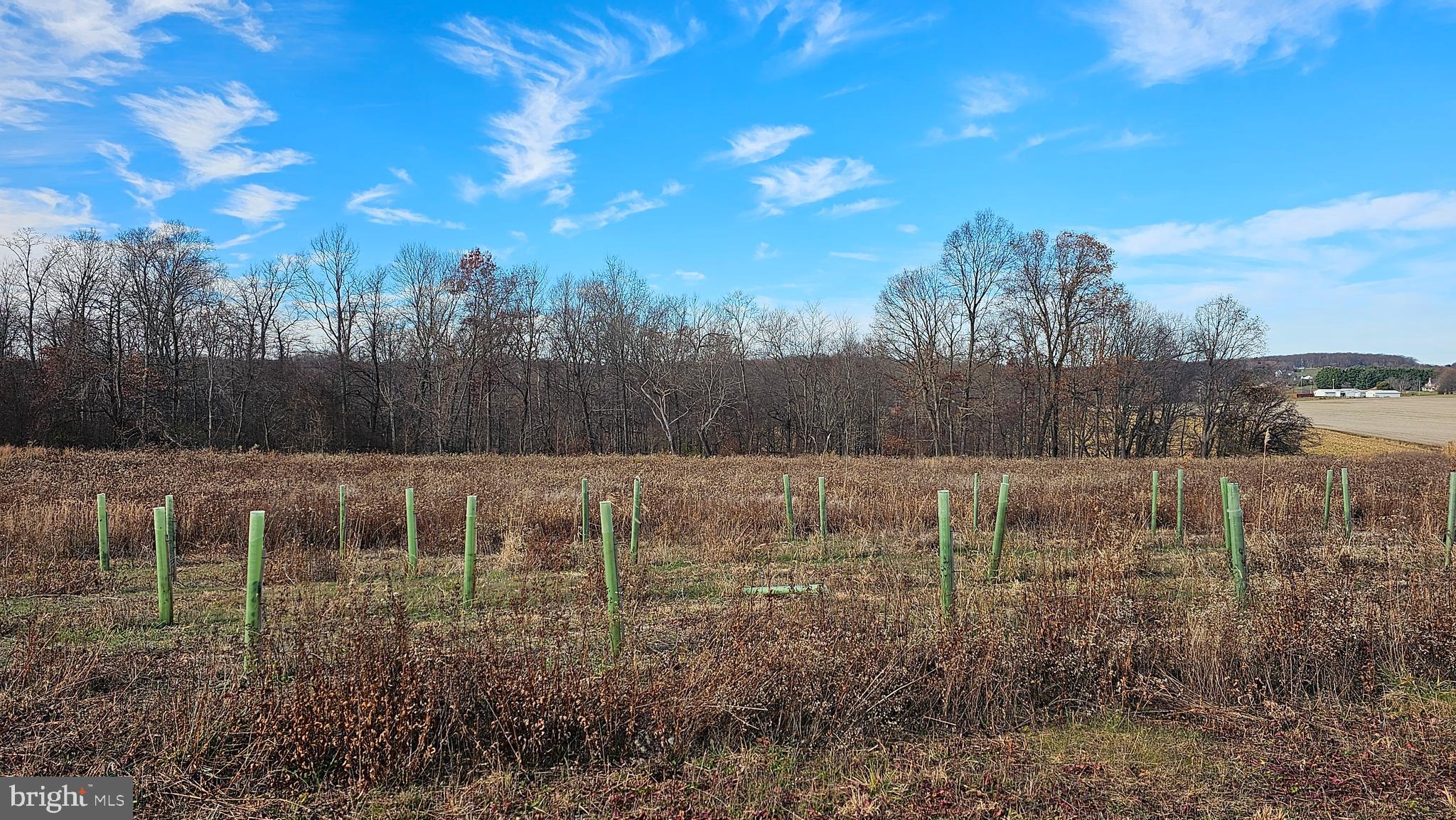 Mullinix Mill Rd Mount Mount Airy, MD 21771 - Photo 15 of 59