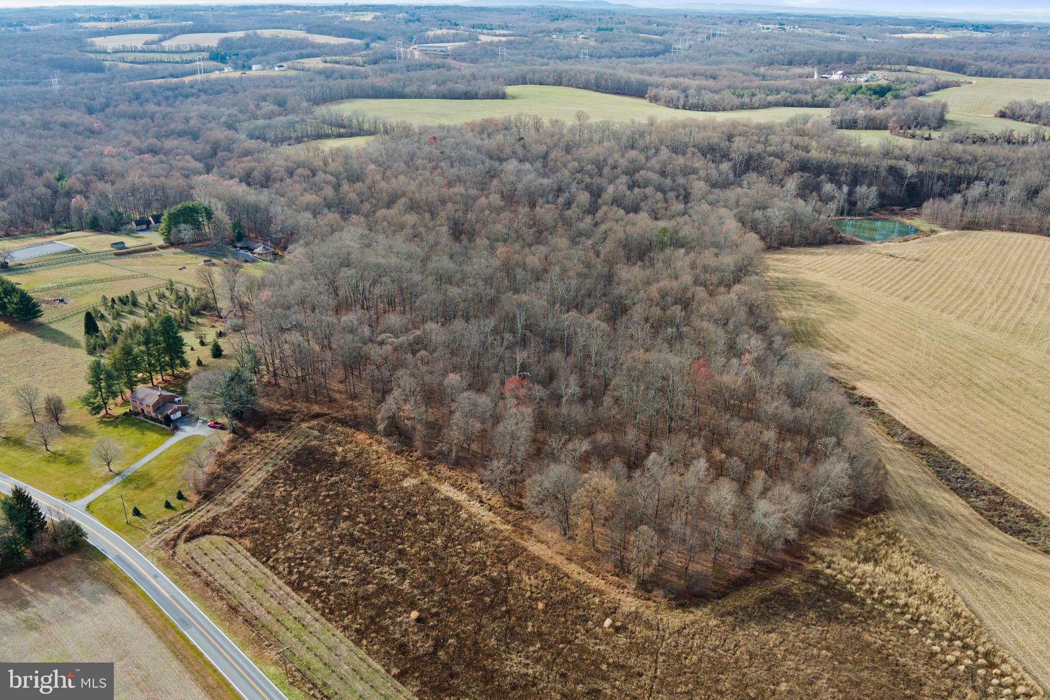 Mullinix Mill Rd Mount Mount Airy, MD 21771 - Photo 17 of 59