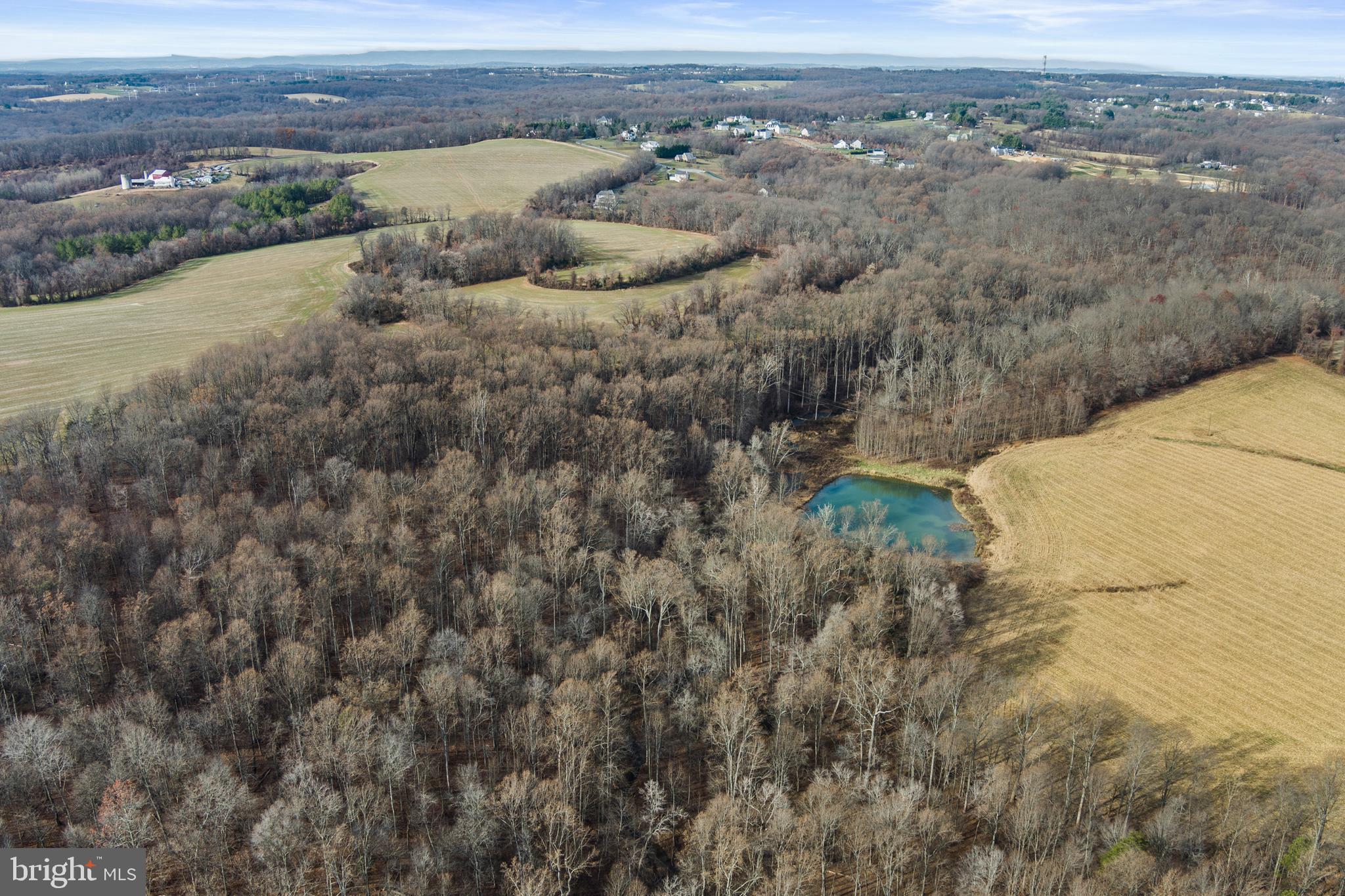 Mullinix Mill Rd Mount Mount Airy, MD 21771 - Photo 22 of 59