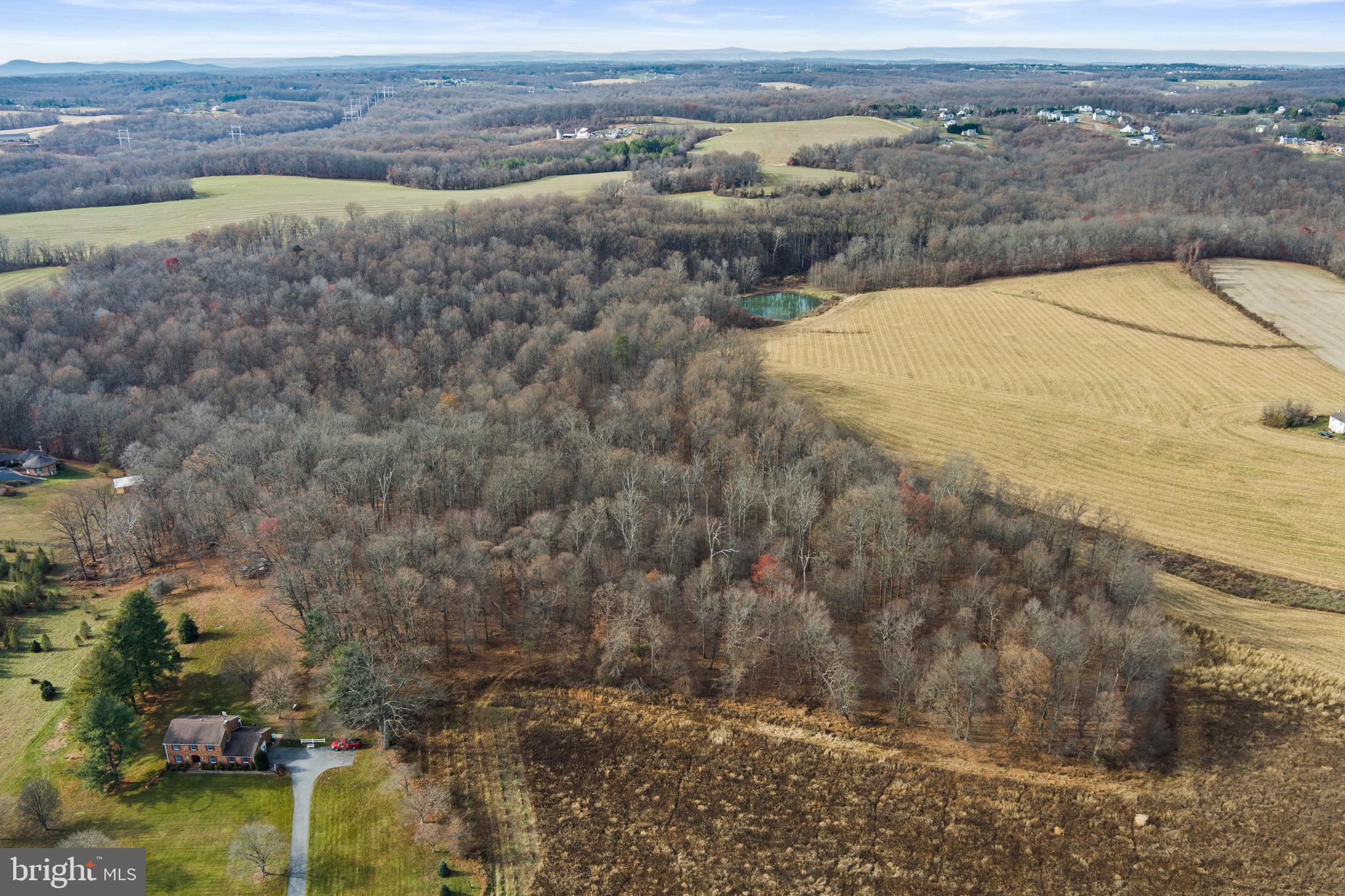 Mullinix Mill Rd Mount Mount Airy, MD 21771 - Photo 24 of 59