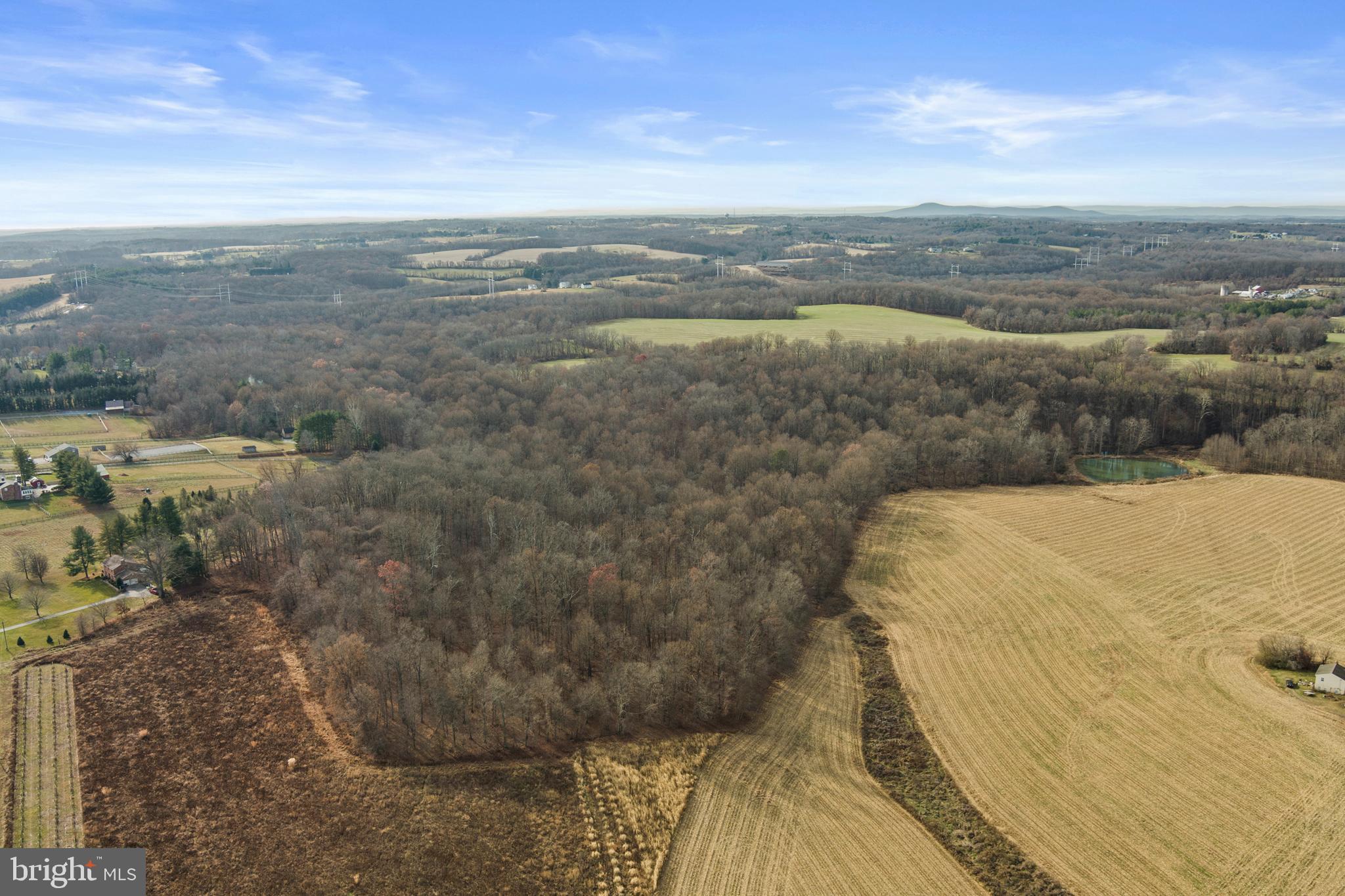 Mullinix Mill Rd Mount Mount Airy, MD 21771 - Photo 27 of 59