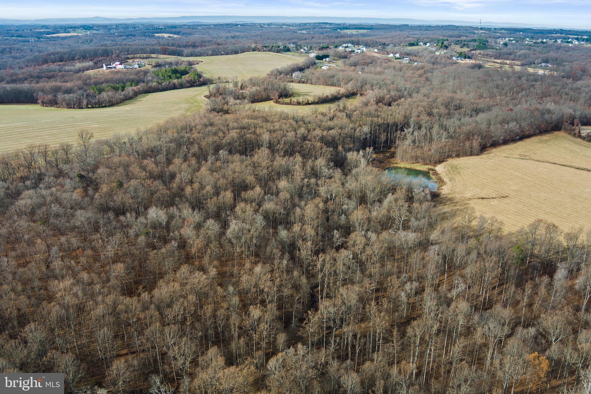 Mullinix Mill Rd Mount Mount Airy, MD 21771 - Photo 28 of 59