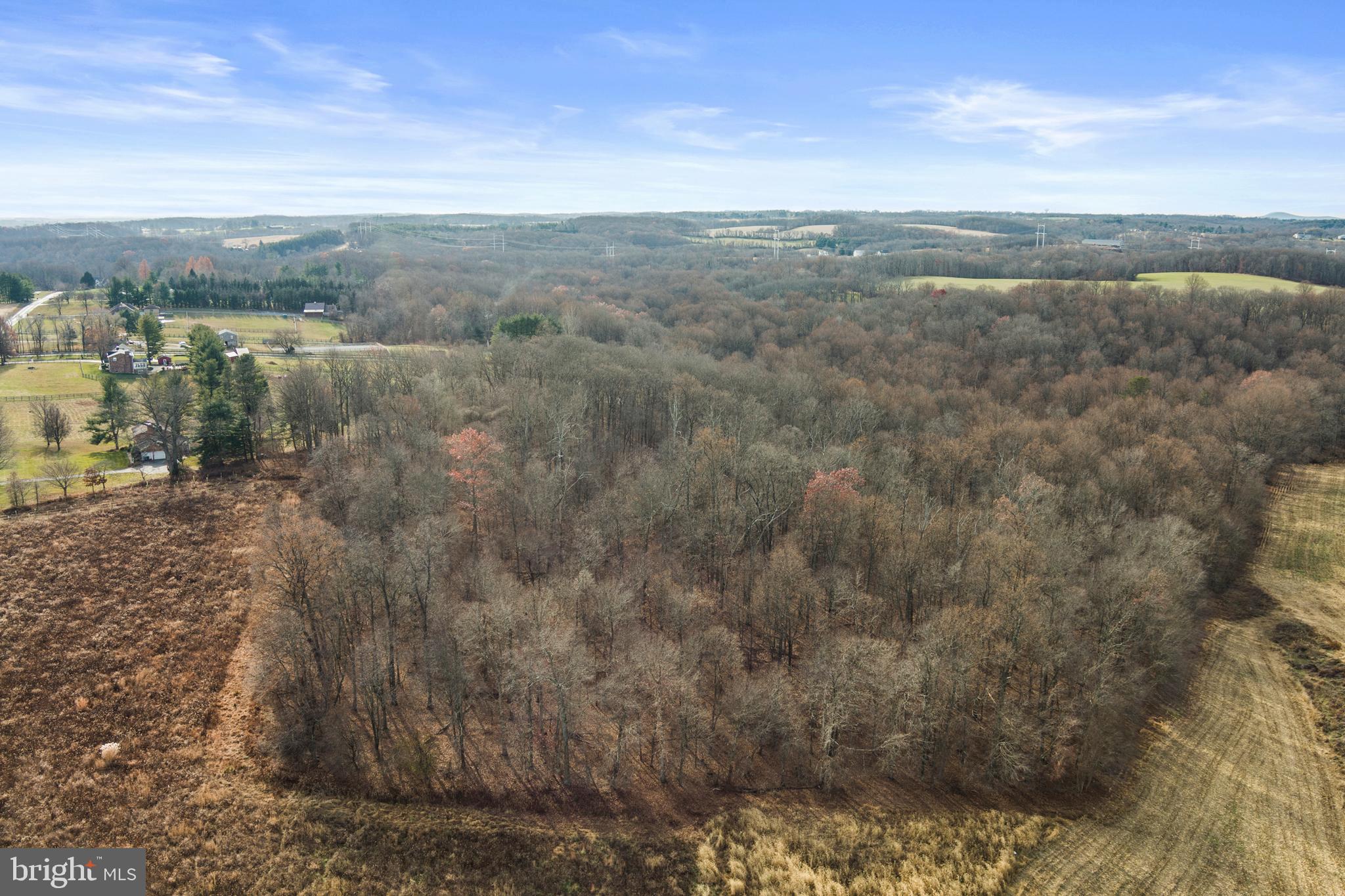 Mullinix Mill Rd Mount Mount Airy, MD 21771 - Photo 29 of 59