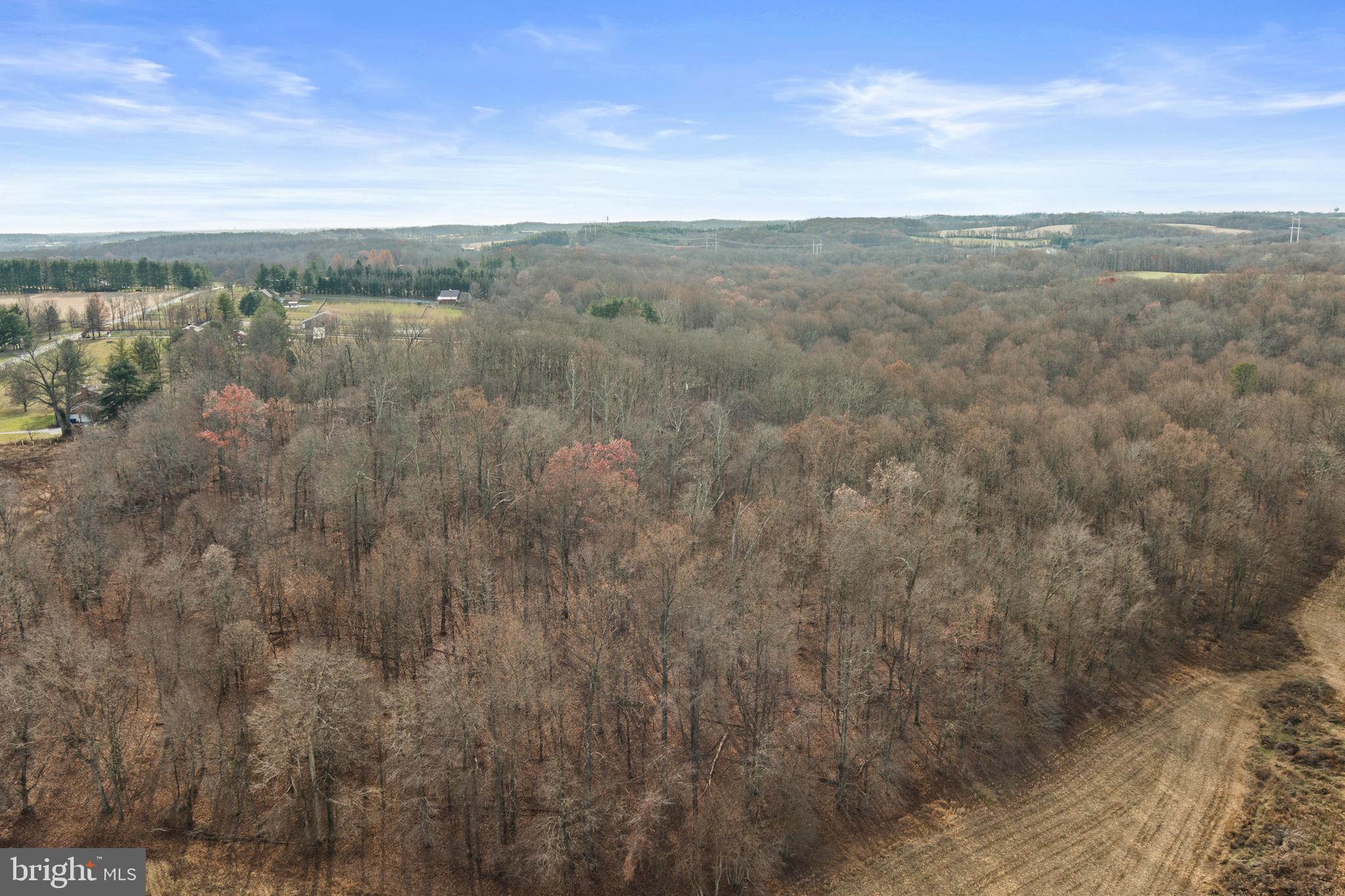 Mullinix Mill Rd Mount Mount Airy, MD 21771 - Photo 31 of 59