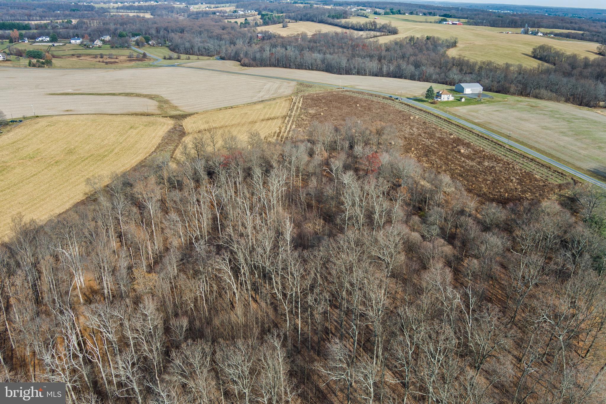 Mullinix Mill Rd Mount Mount Airy, MD 21771 - Photo 36 of 59