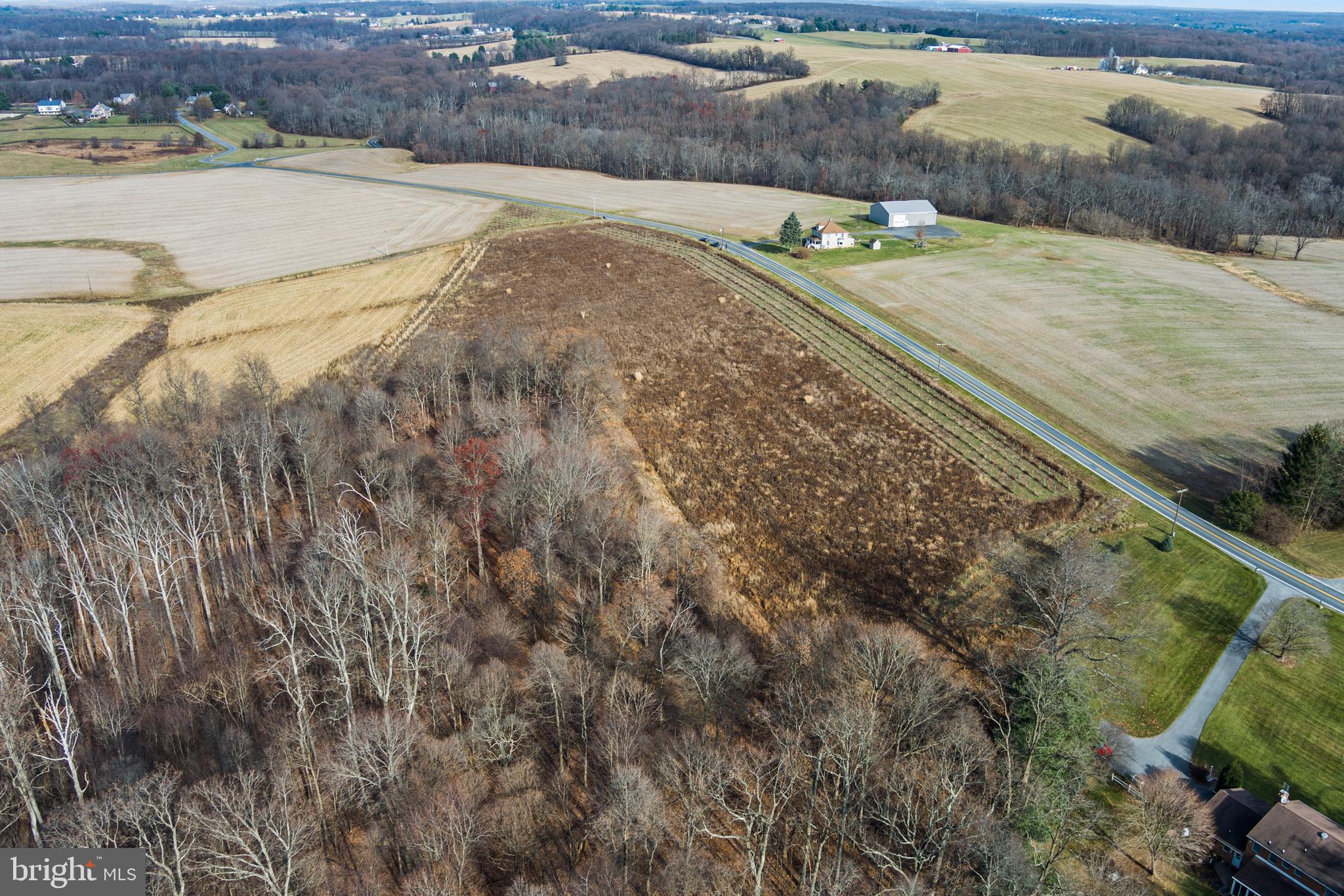 Mullinix Mill Rd Mount Mount Airy, MD 21771 - Photo 41 of 59