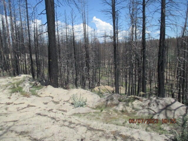Lot - Black Pine Road Bly, OR 97622 - Photo 11 of 12 IMG_1682