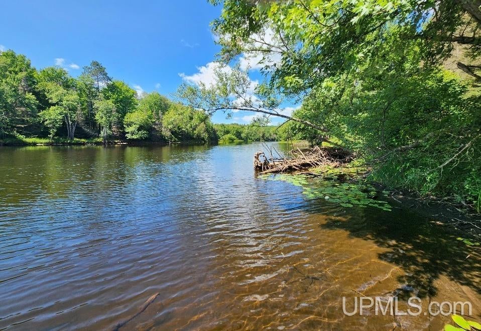 2.63-acres Sheltrow Road, Unit LOT 6PAINT RIVER HIGHLAN Crystal Falls, MI 49920 - Photo 1 of 53 Gallery Image 1
