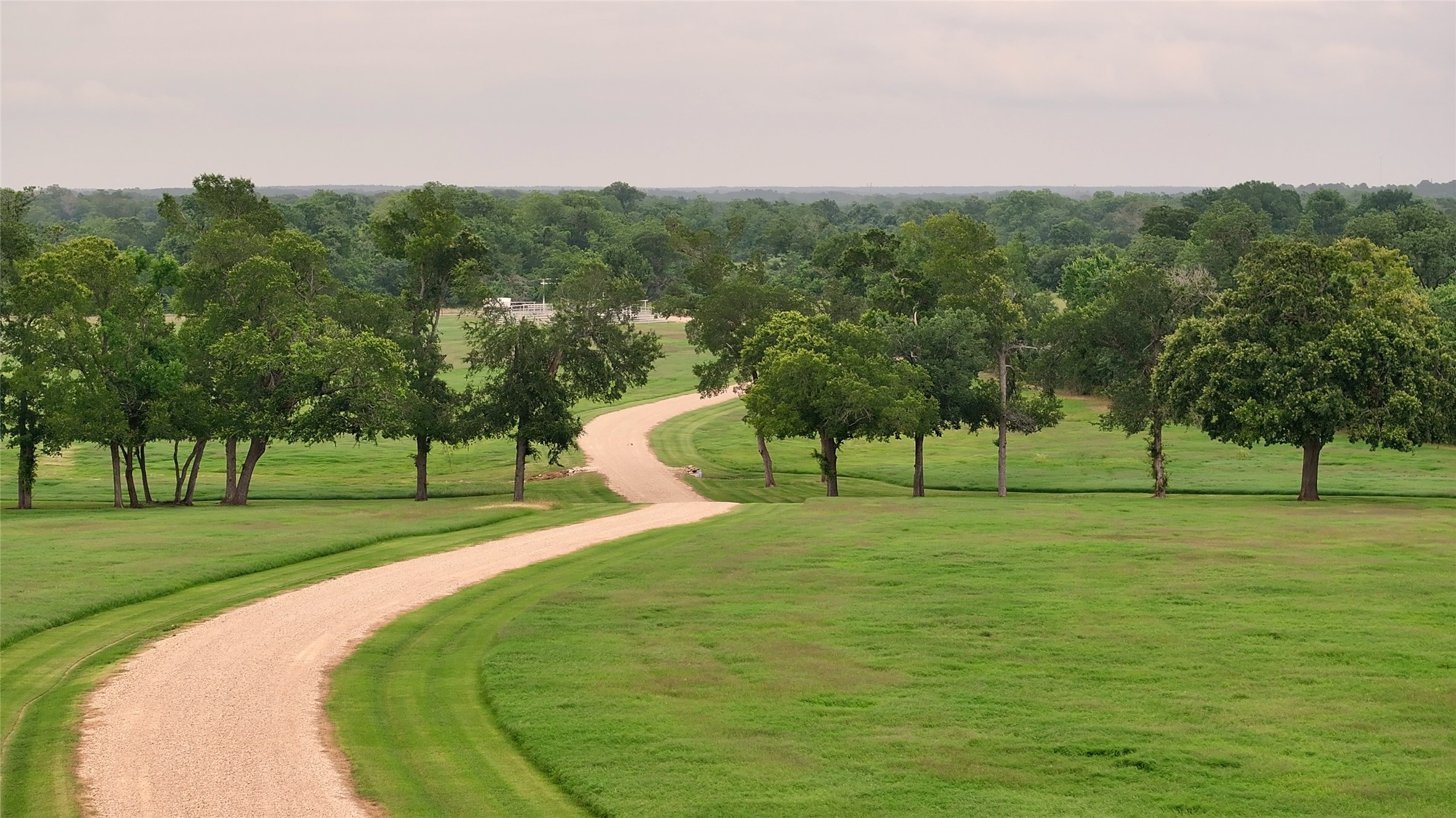 3283-2 Fm 2562 Road Anderson, TX 77830 - Photo 35 of 36