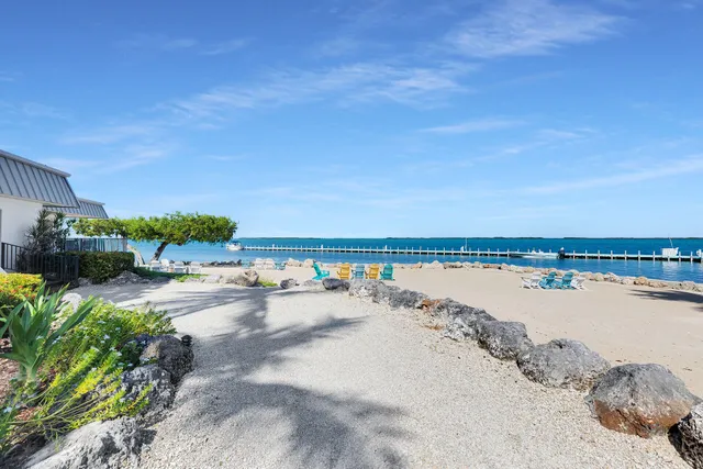 a view of a garden with plants