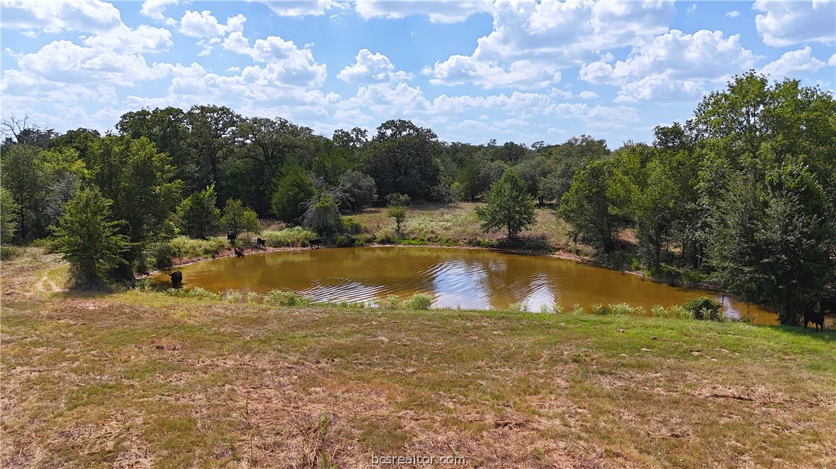 8 & 13) Road Paige, TX 78659 - Photo 7 of 22 Gallery Image 7