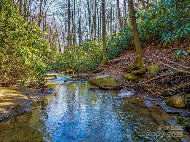 $4,500,000 | 1411 Cabin Creek Road, Zirconia, NC 28790