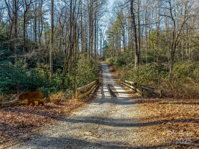 $4,500,000 | 1411 Cabin Creek Road, Zirconia, NC 28790