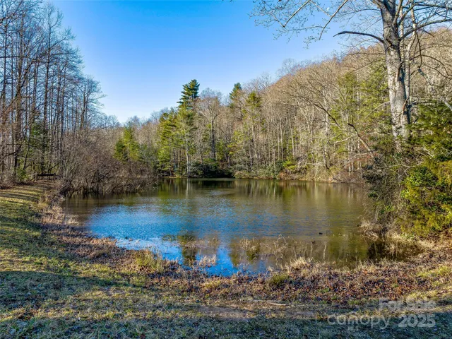 $4,500,000 | 1411 Cabin Creek Road, Zirconia, NC 28790
