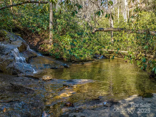 $4,500,000 | 1411 Cabin Creek Road, Zirconia, NC 28790