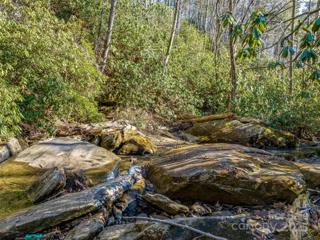 $4,500,000 | 1411 Cabin Creek Road, Zirconia, NC 28790