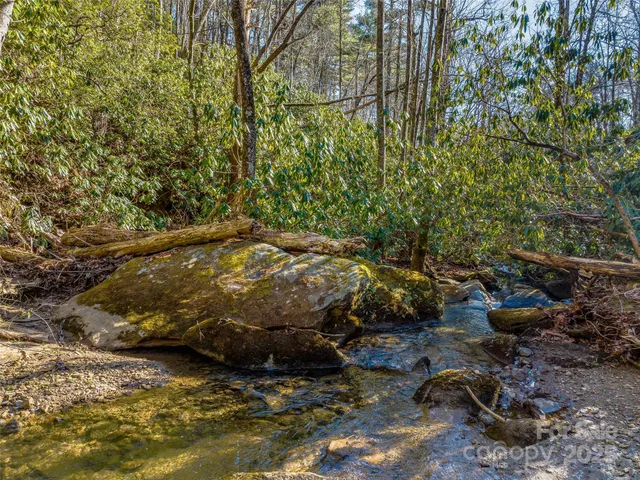 $4,500,000 | 1411 Cabin Creek Road, Zirconia, NC 28790