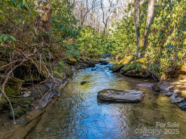 $4,500,000 | 1411 Cabin Creek Road, Zirconia, NC 28790