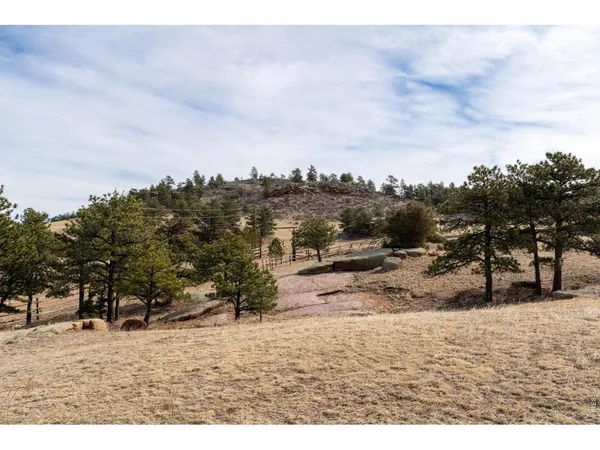 $800,000 | 223 Timber Trail, Livermore, CO 80536