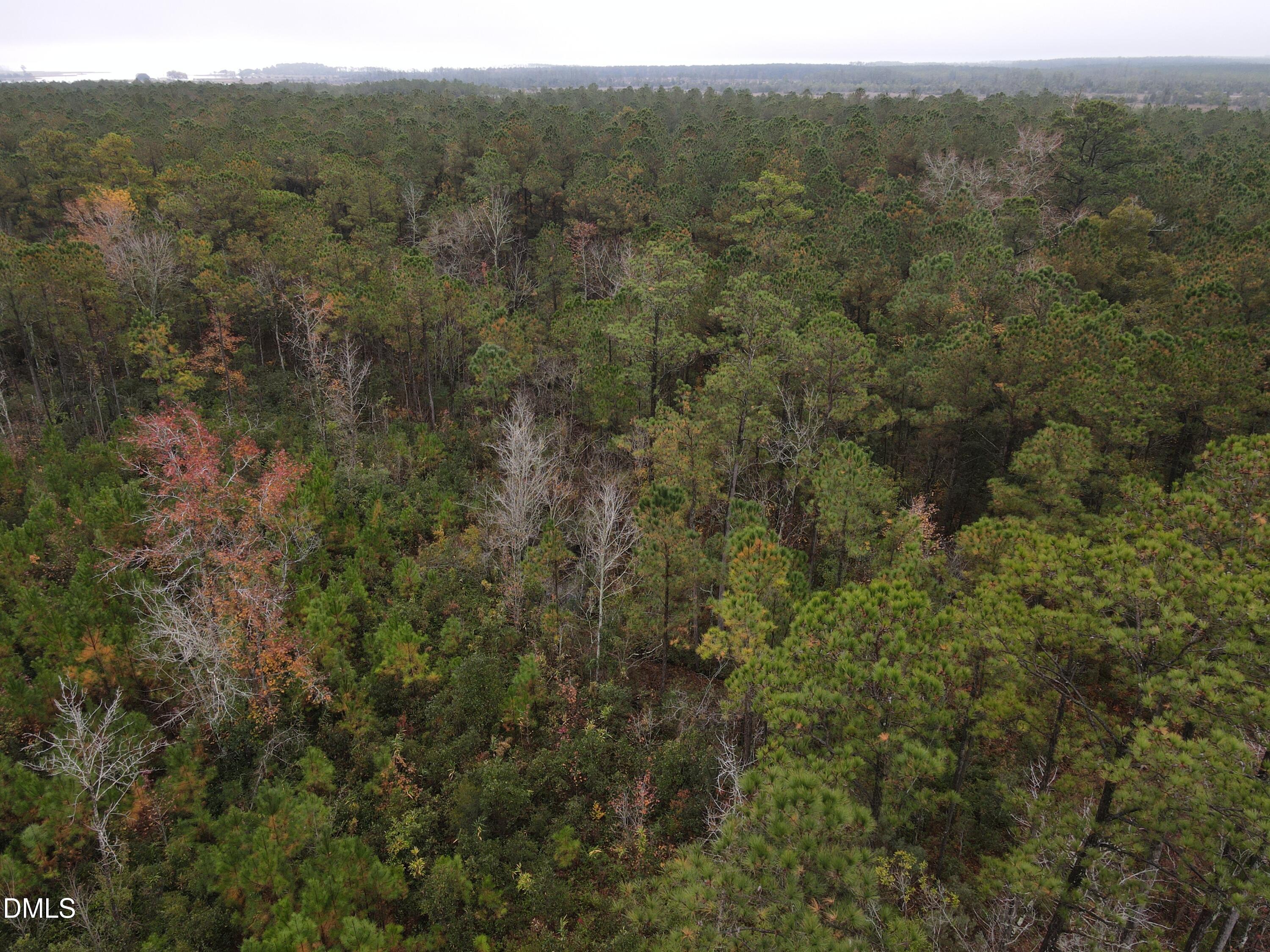 0 North Nc 304 Merritt, NC 28556 - Photo 11 of 20 28 Acre 11