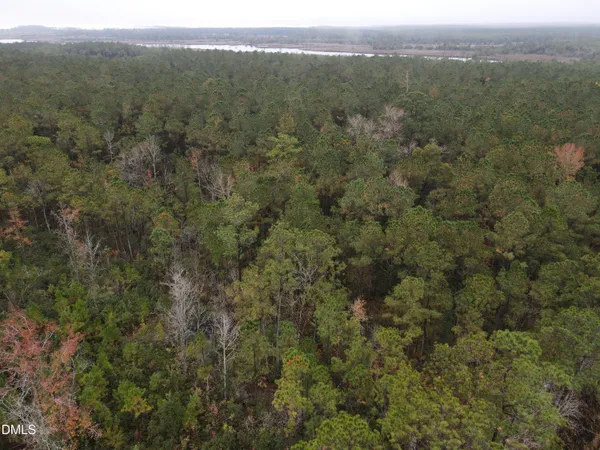 an aerial view of forest