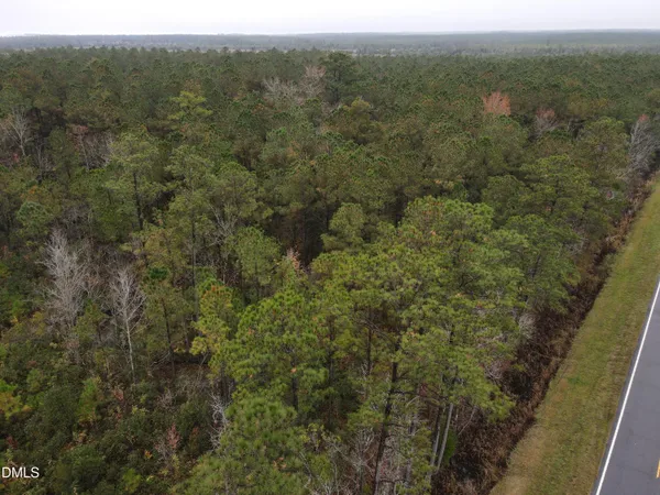 a view of a forest with a street