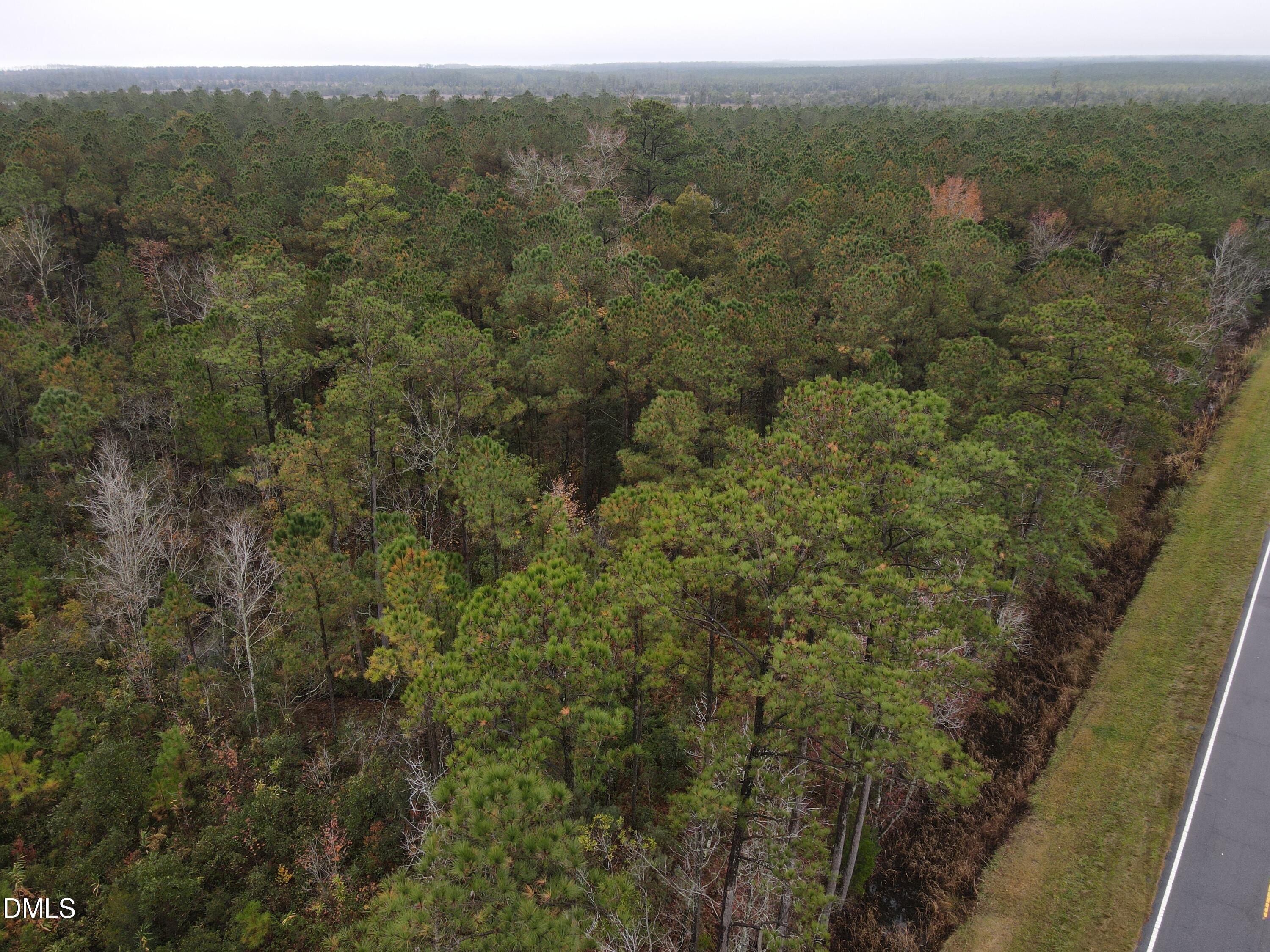 0 North Nc 304 Merritt, NC 28556 - Photo 15 of 20 28 Acre 15