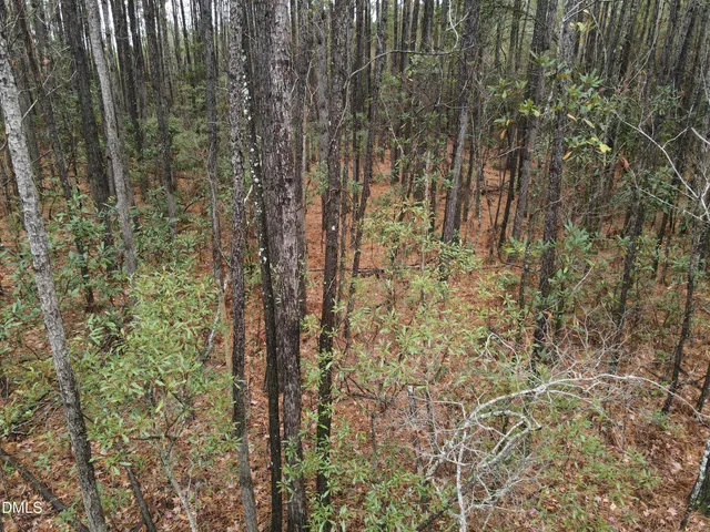 $99,000 | 0 North Nc 304, Merritt, NC 28556