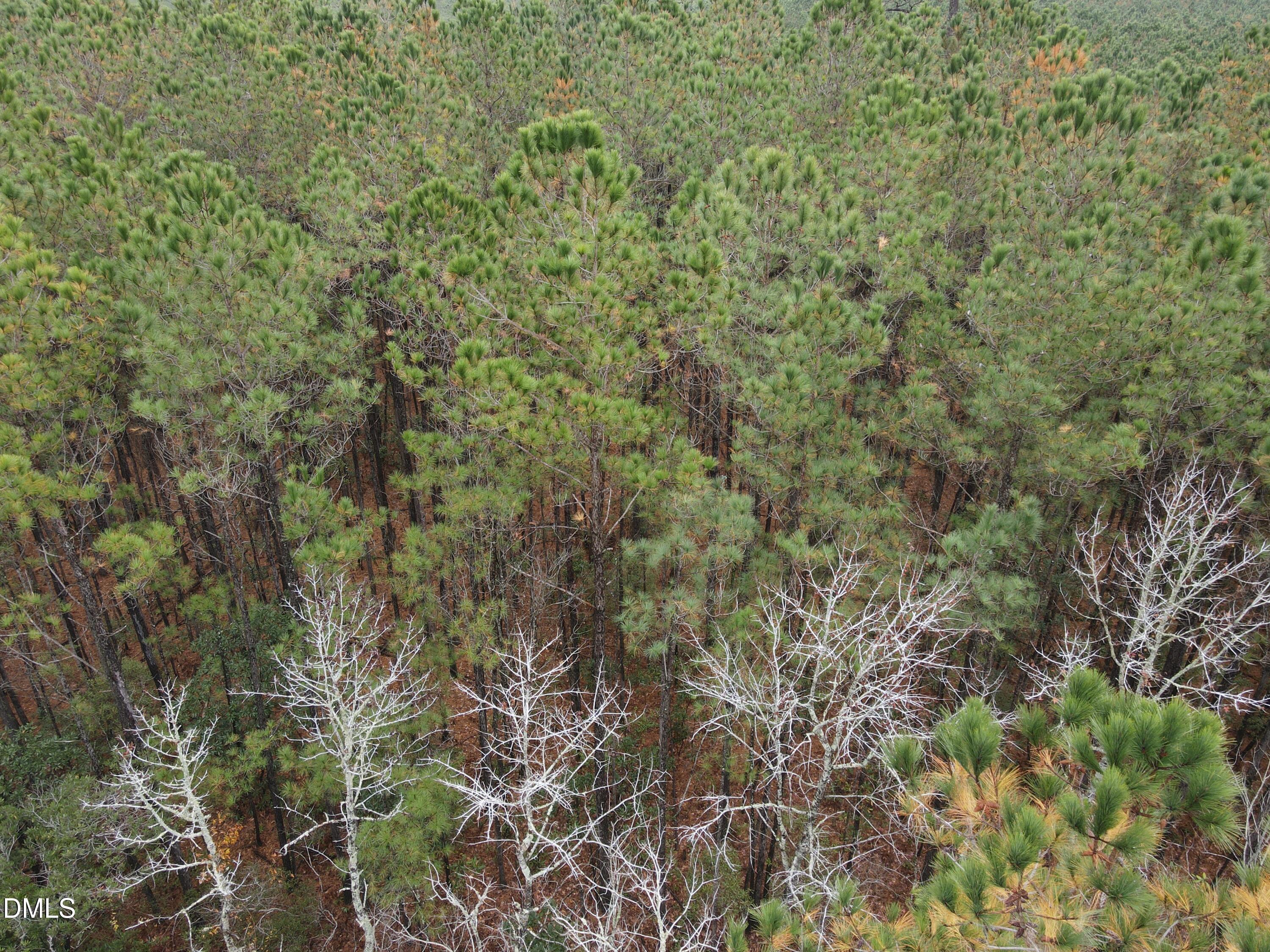 0 North Nc 304 Merritt, NC 28556 - Photo 18 of 20 10 Acre 8