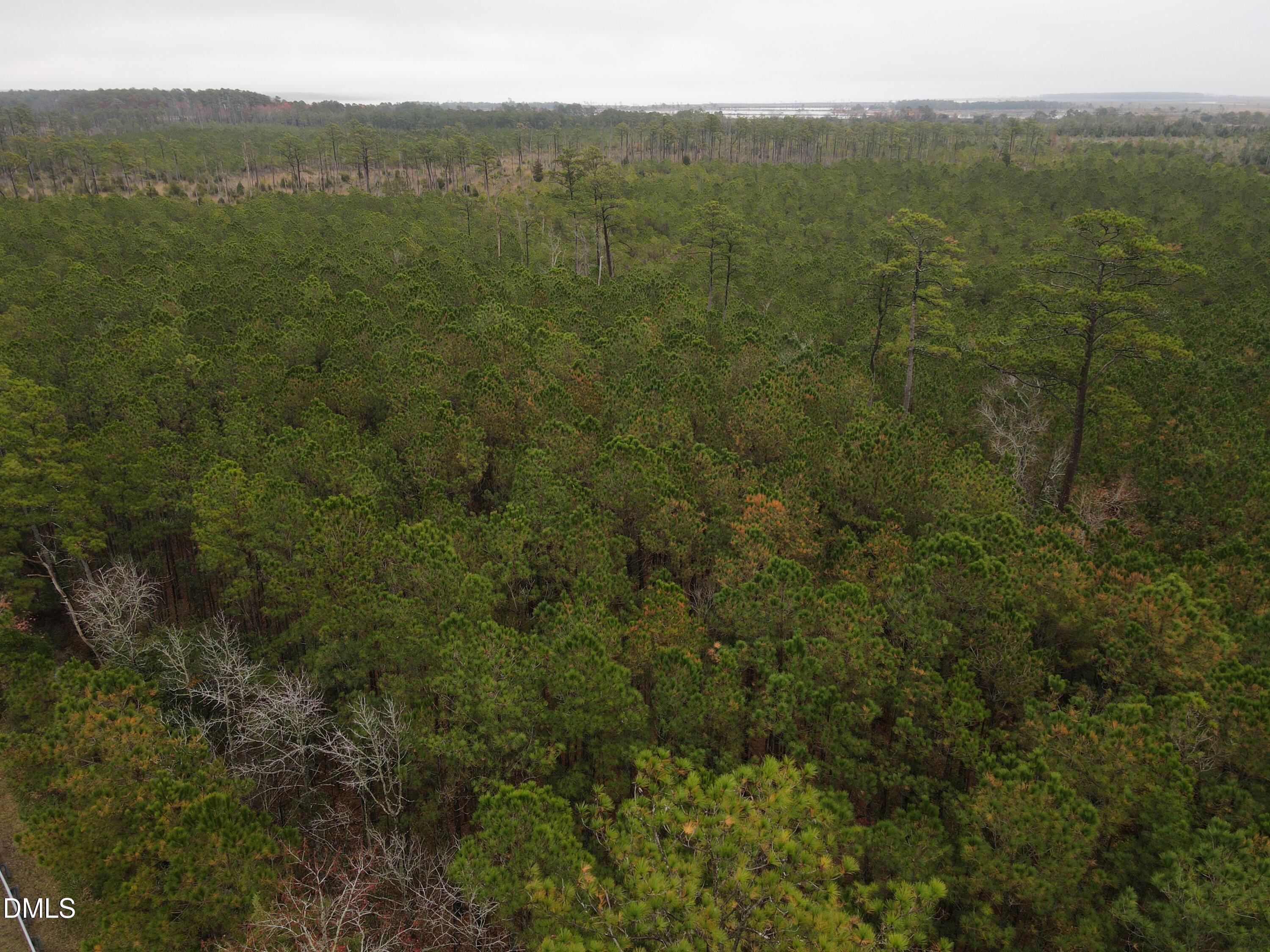 0 North Nc 304 Merritt, NC 28556 - Photo 19 of 20 10 Acre 9