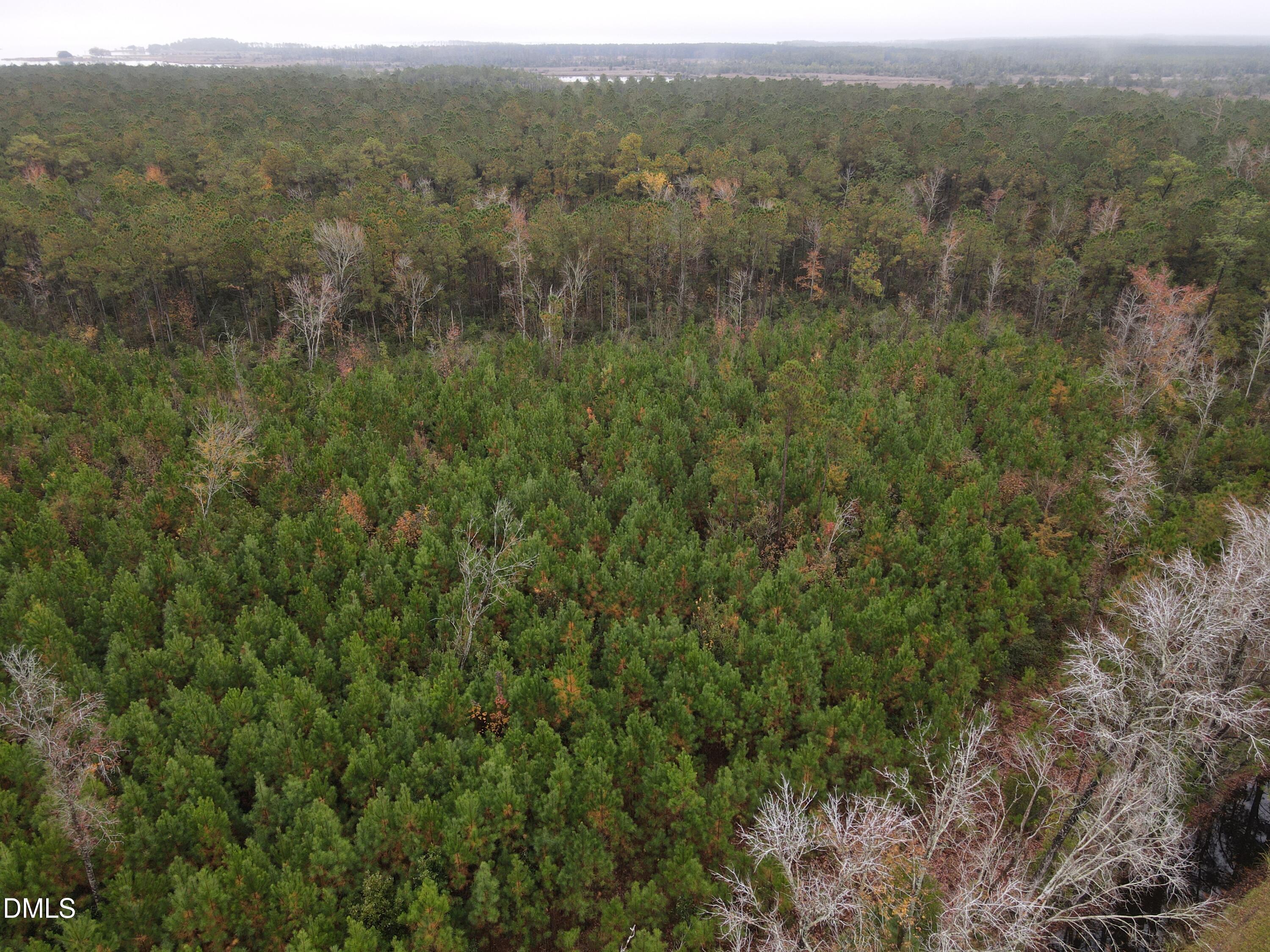 0 North Nc 304 Merritt, NC 28556 - Photo 20 of 20 10 Acre 10
