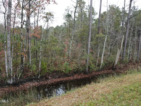 a view of a forest with a lake